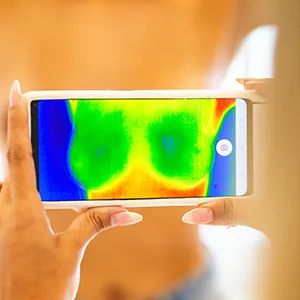 Screenshot of a LINDA thermography scan