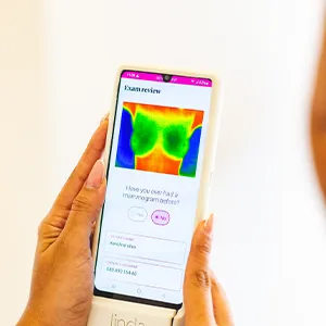 Screenshot of a LINDA thermography scan